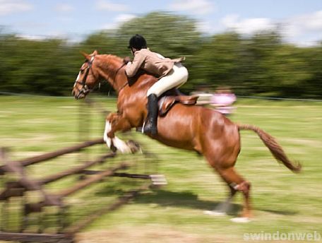 Wanborough Horse and Dog show